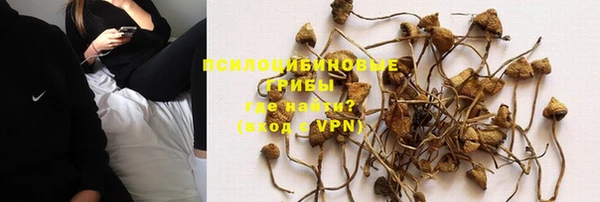соль ск Алексеевка