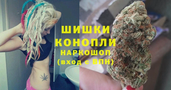 метадон Алексин