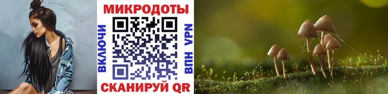 Галлюциногенные грибы мухоморы Тавда